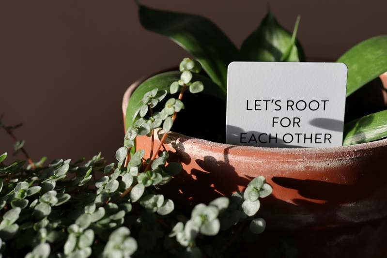 Close-up of handcrafted plant labels in a vegetable garden bed